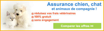 mutuelle animaux