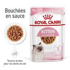 royal canin kitten pour chaton
