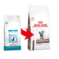 croquettes royal canin gastro intestinal chat