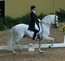 dressage définition