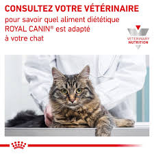 royal canin gastro intestinal chat sachet