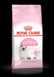 royal canin croquette chaton