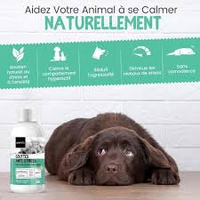 vitamine naturelle pour chien